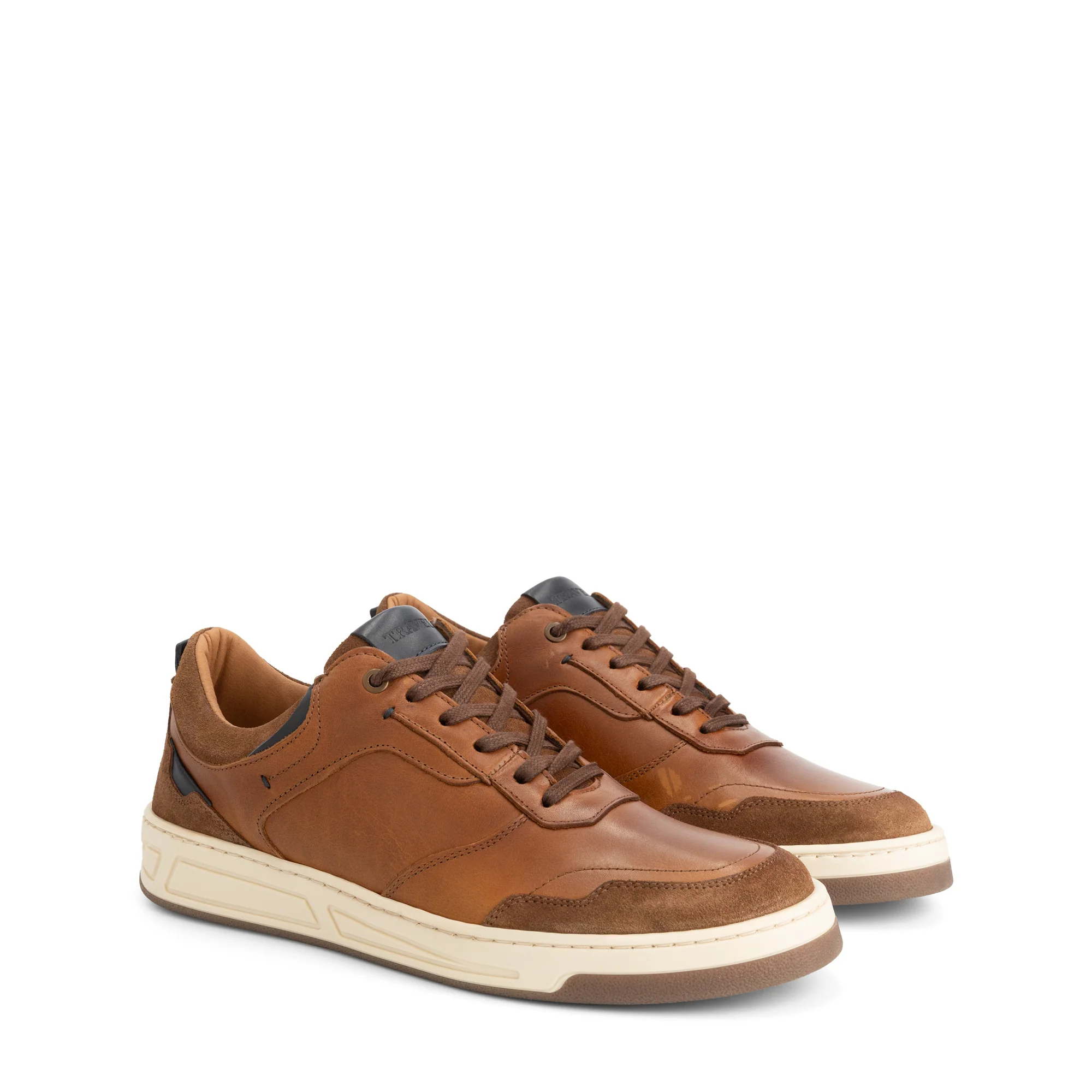 Darley Men - Sneakers - Leather - Cognac