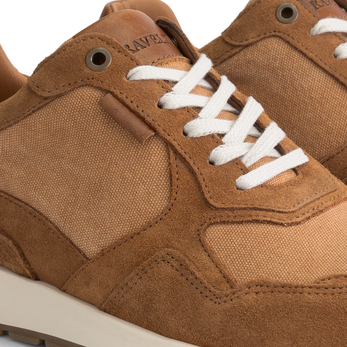 Newberry Men - Sneakers - Canvas and suede - Cognac - Image 7