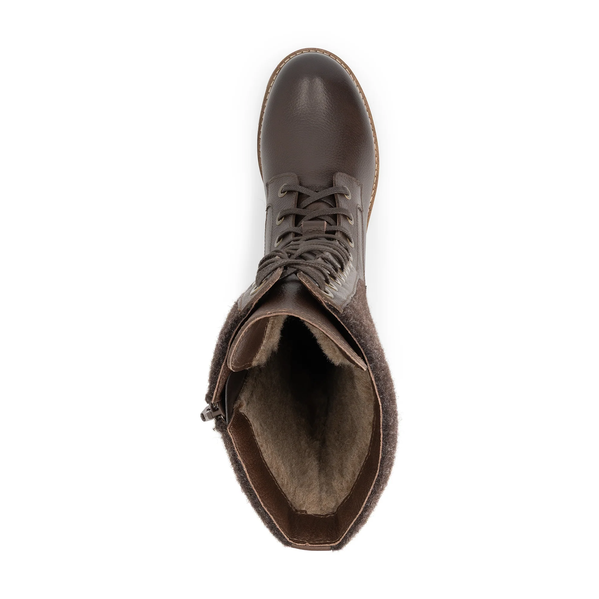 Struve Dark brown - Image 5